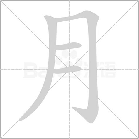 月字部首的字|月字旁(月部)